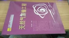 无笔记 天然气集输工程 张良鹤 主编 / 石油工业出版社 / 2001