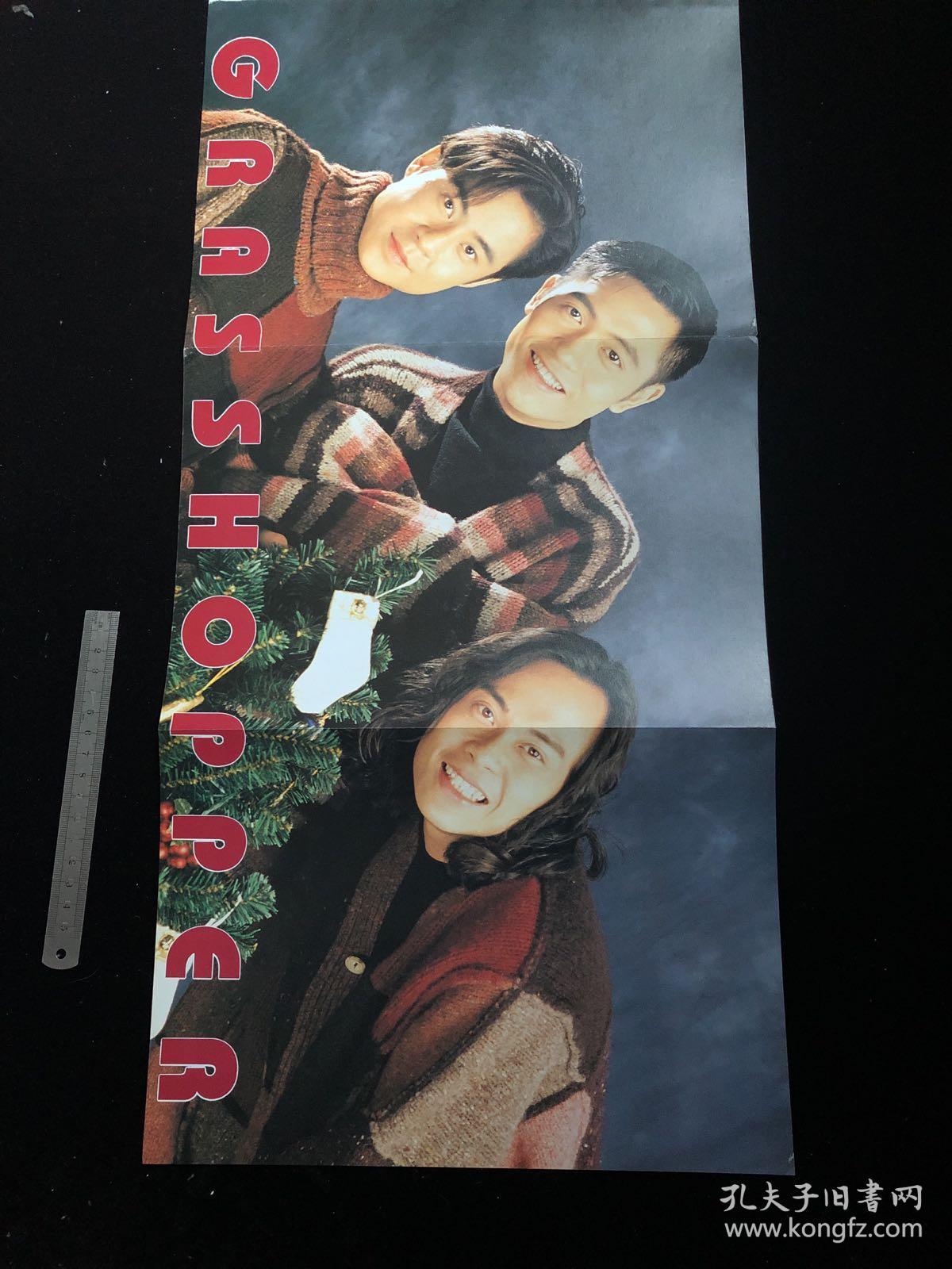 草蜢彩页超大,草蜢海报