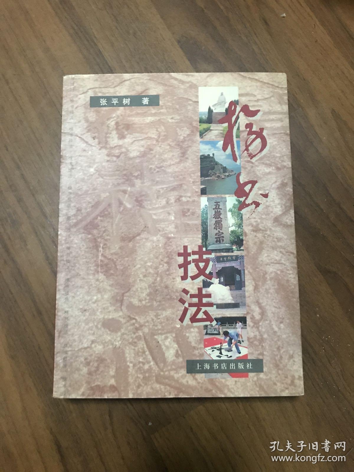 榜书技法(张平树 著)_简介_价格_艺术书籍_孔网