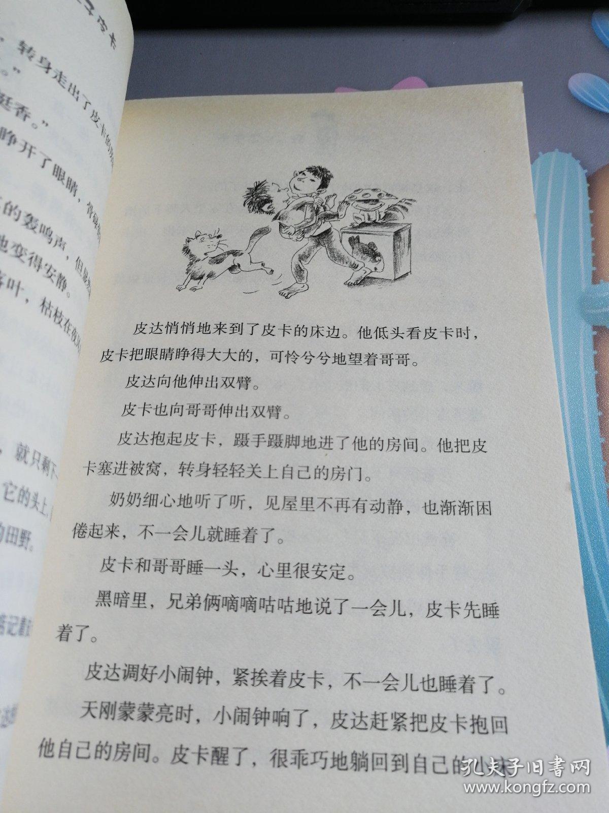 再见钢琴/我的儿子皮卡