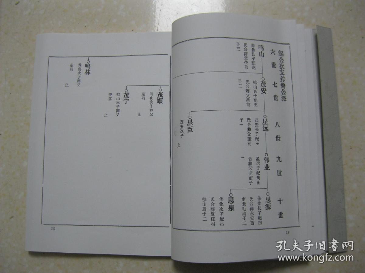 鹿氏族谱复印本江苏省徐州市铜山县李庄崔庄夏庄枣庄一带始祖鹿大公讳