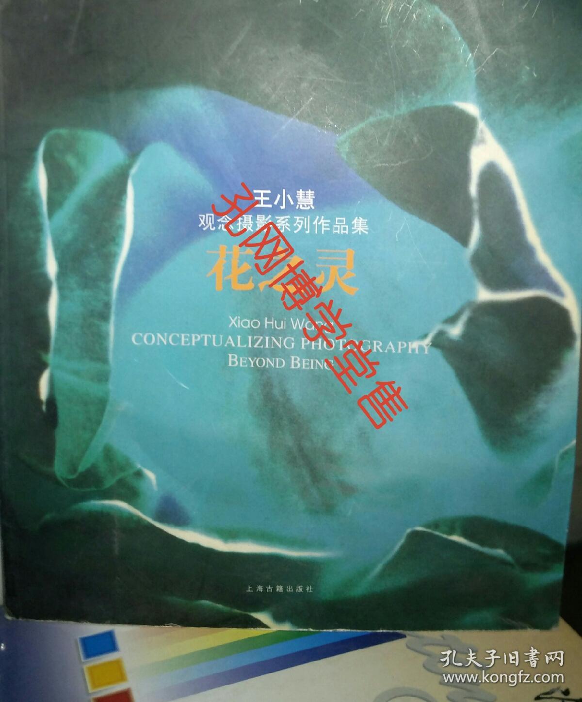 王小慧观念摄影系列作品集 花之灵