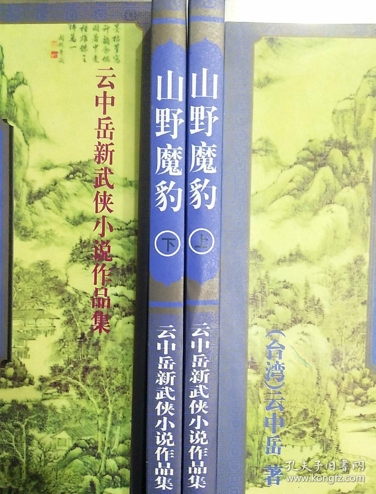 云中岳新武侠小说作品:山野魔豹(上下)