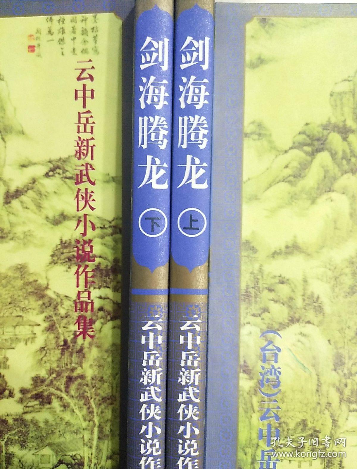 云中岳新武侠小说作品:剑影腾龙(上下)