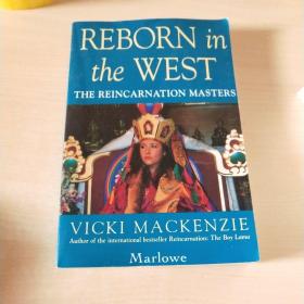 reborn in the west the reincarnation masters