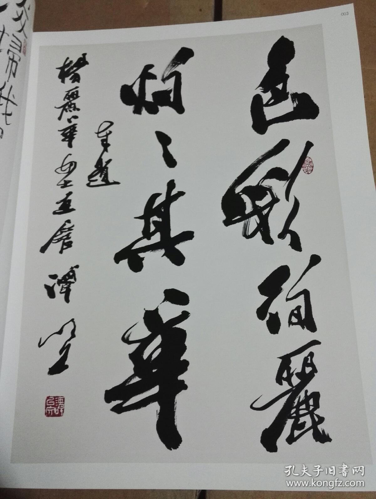 杨丽华水墨青花作品集