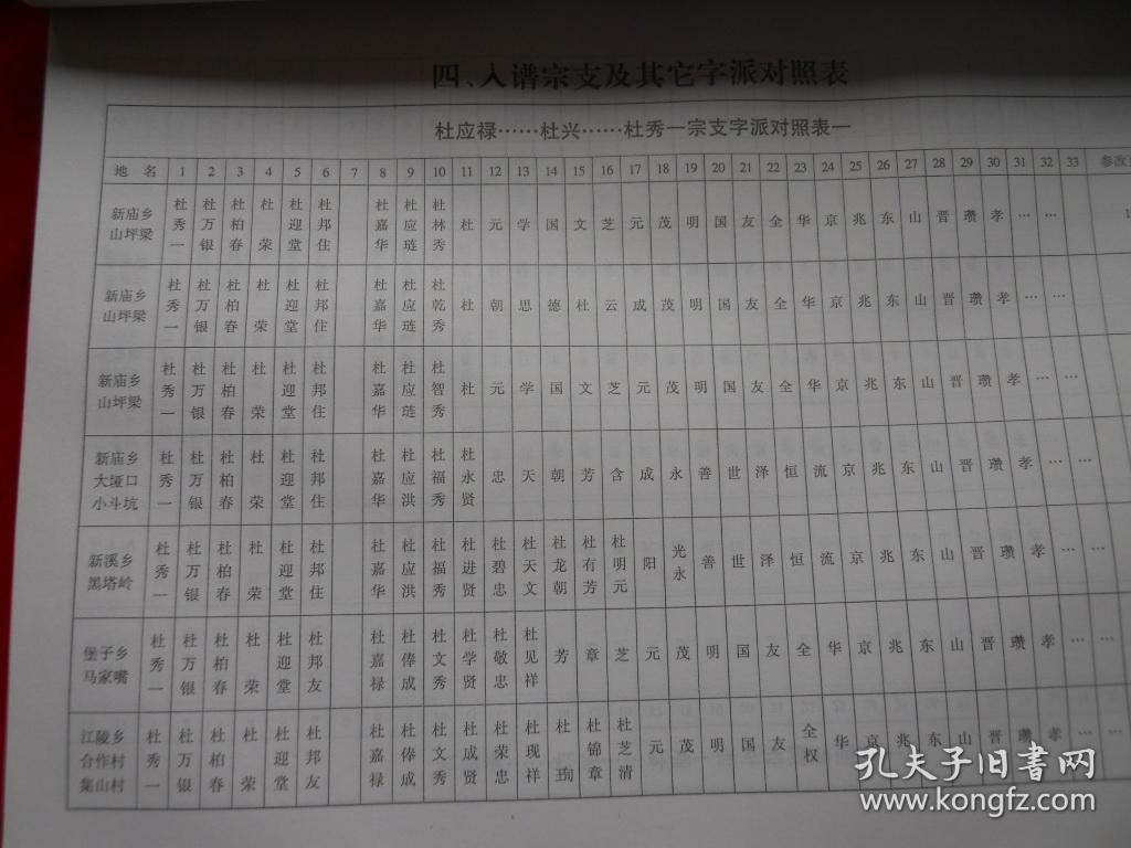 2010年硬精装家谱族谱杜氏族谱856页16开