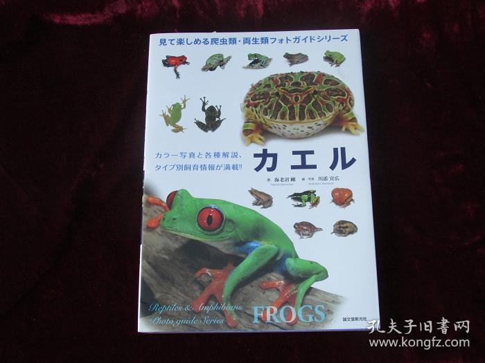 青蛙 赏心悦目爬虫饲养 日文原版彩印 两栖动物专著 孔夫子旧书网