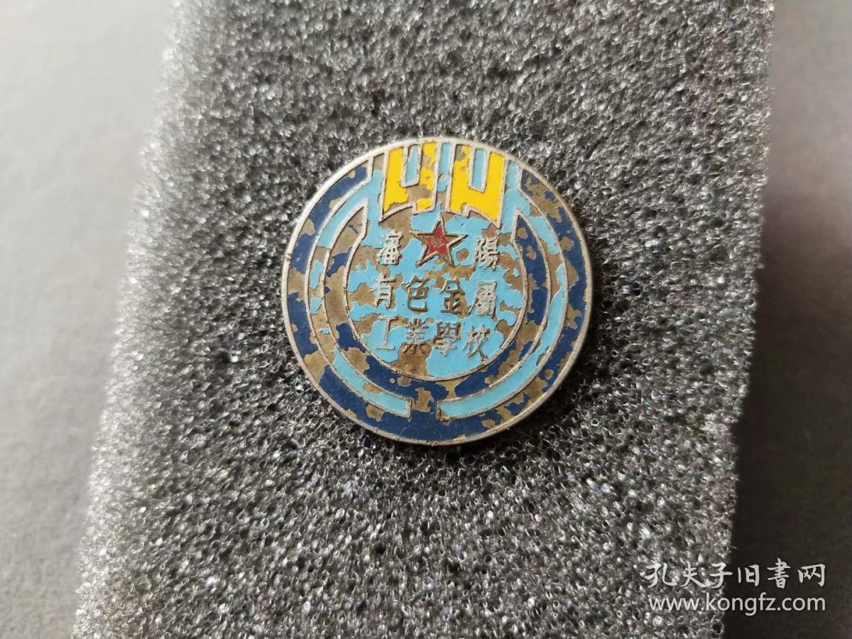 沈阳黄金学院(沈阳黄金学院现在改成什么学校了)-第2张图片-鲸幼网