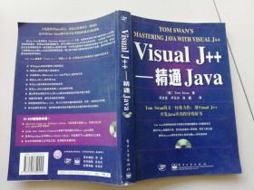 Visual J++:精通Java