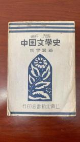 新著中国文学史