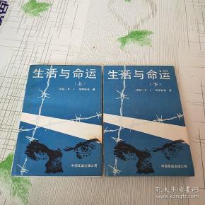 00 2018-12-21上书 加入购物车 立即购买 作者:米子学 出版社:北京
