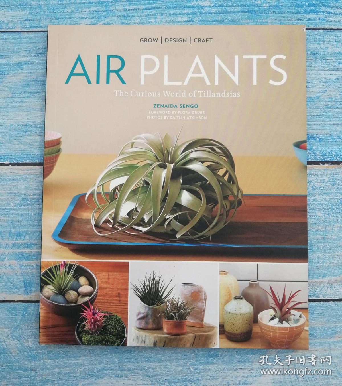 airplantsthecuriousworldoftillandsias
