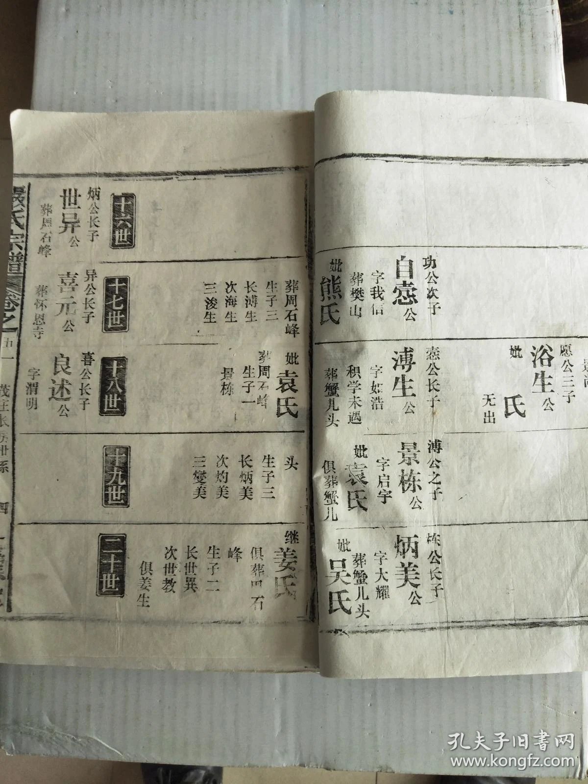 严氏宗谱 【富春堂】信甫公支 (信甫 字仲允 号裕斋 原籍姚江 析居