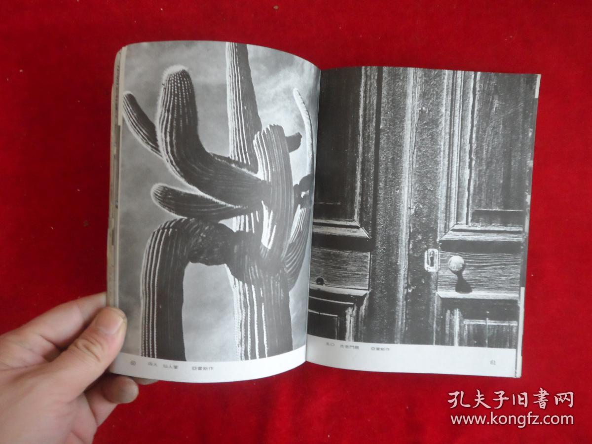 世界名摄影欣赏