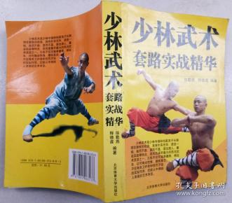少林武术套路实战精华