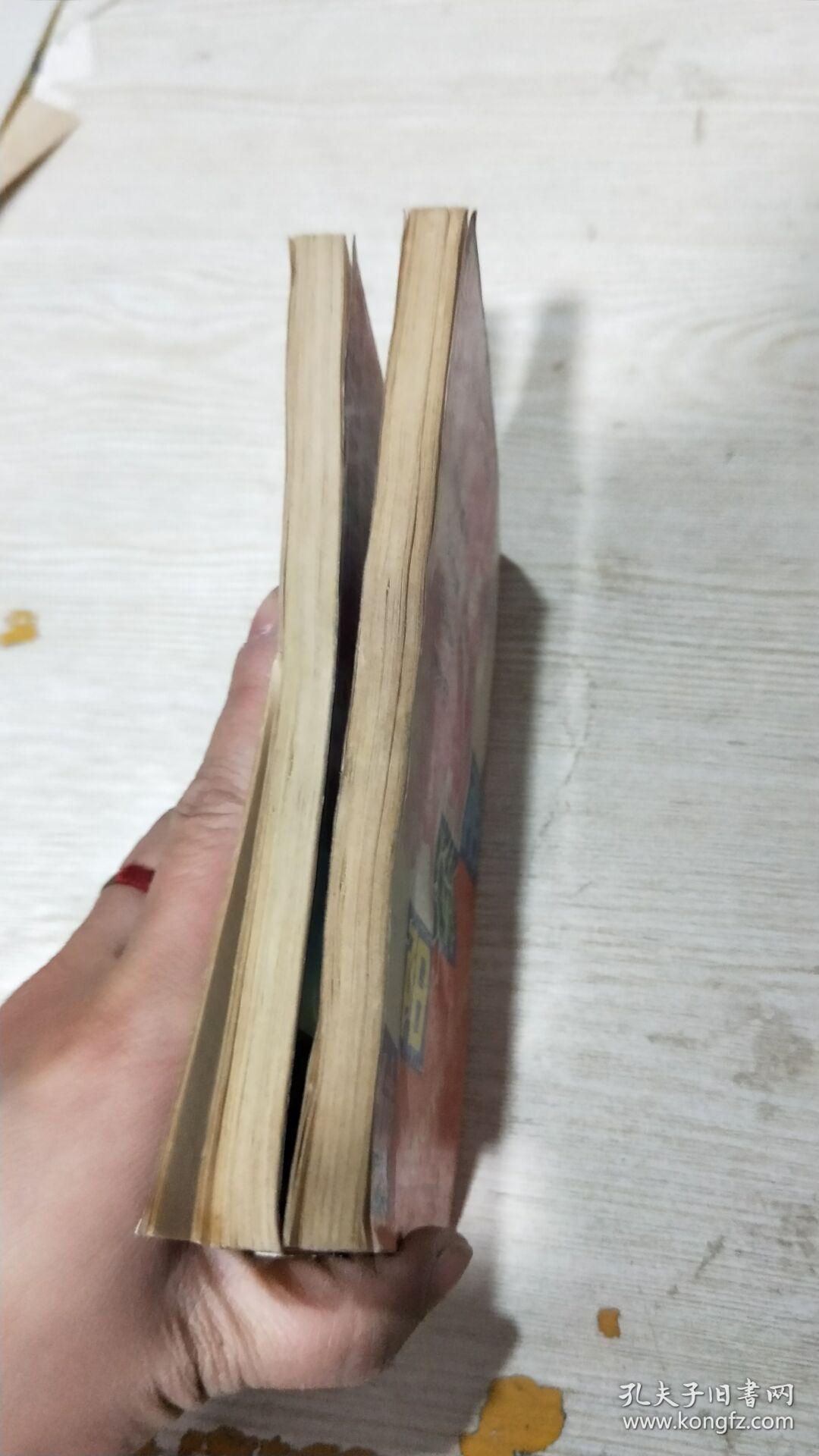 纯阳锁阴1.3(共2册)