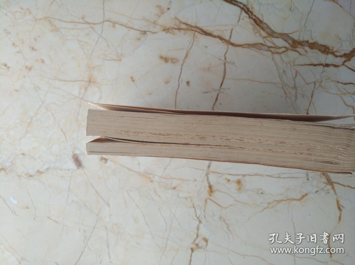 黄帝内经素问(梅花版)_唐61王冰_孔夫子旧书网