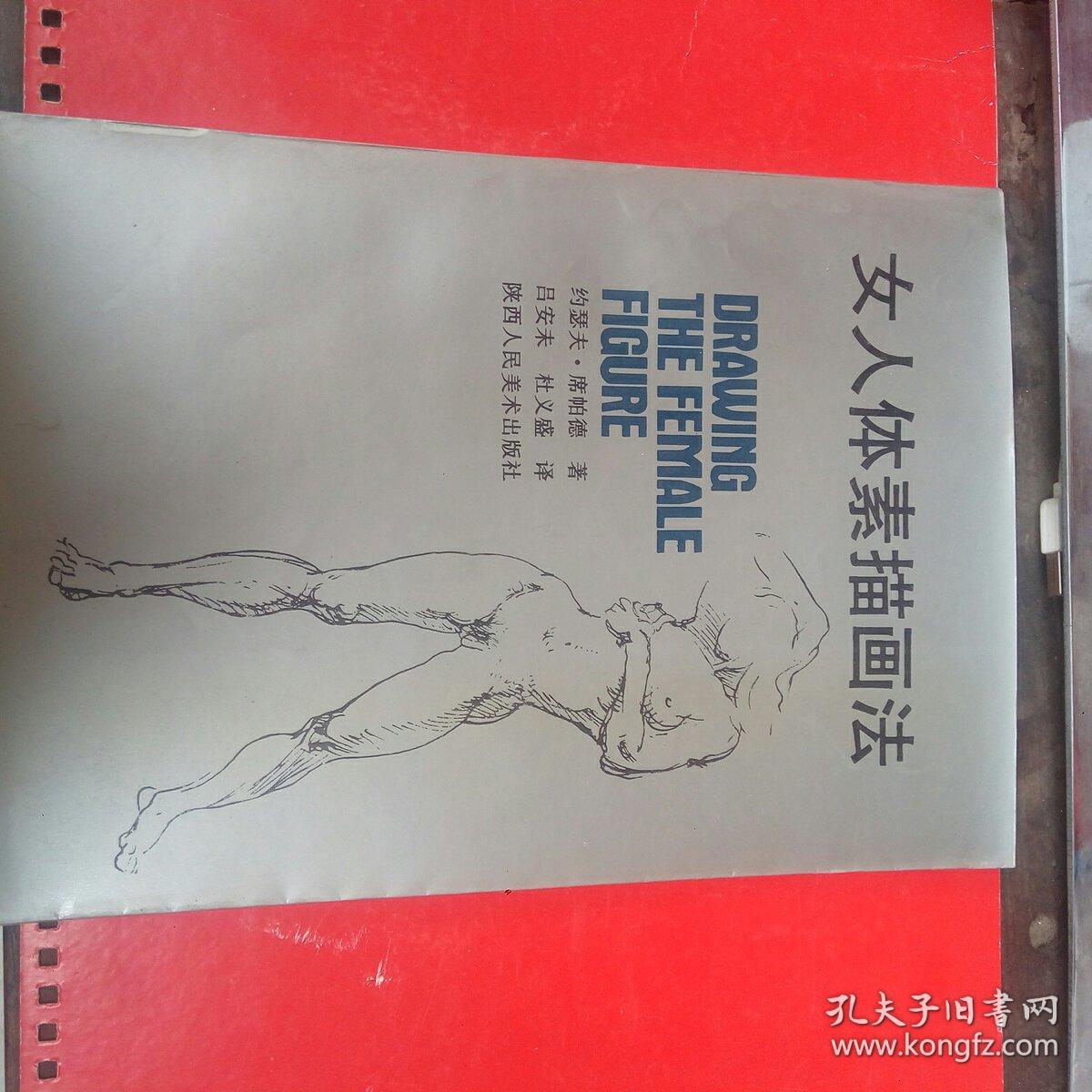 女人体素描画法