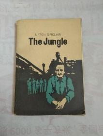 The Jungle(外文书)