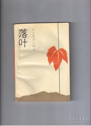 《落叶》徐志摩诗文精选