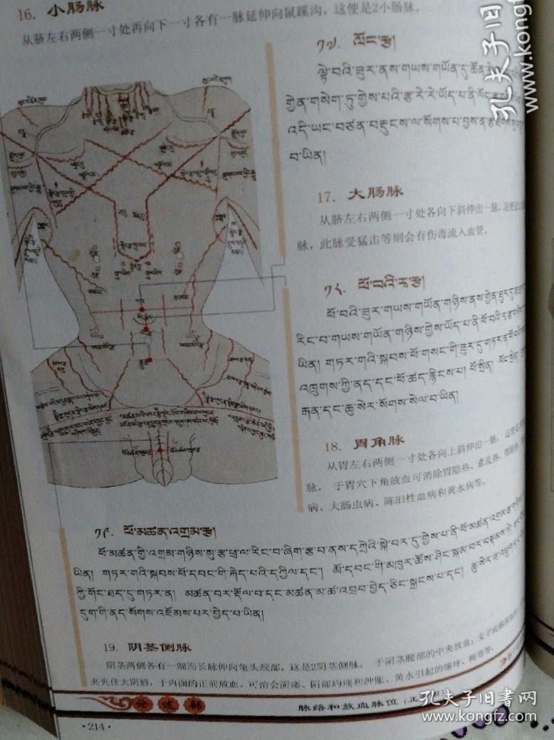 四部医典曼唐详解