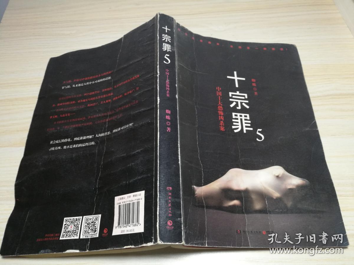 十宗罪5:中国十大凶杀案