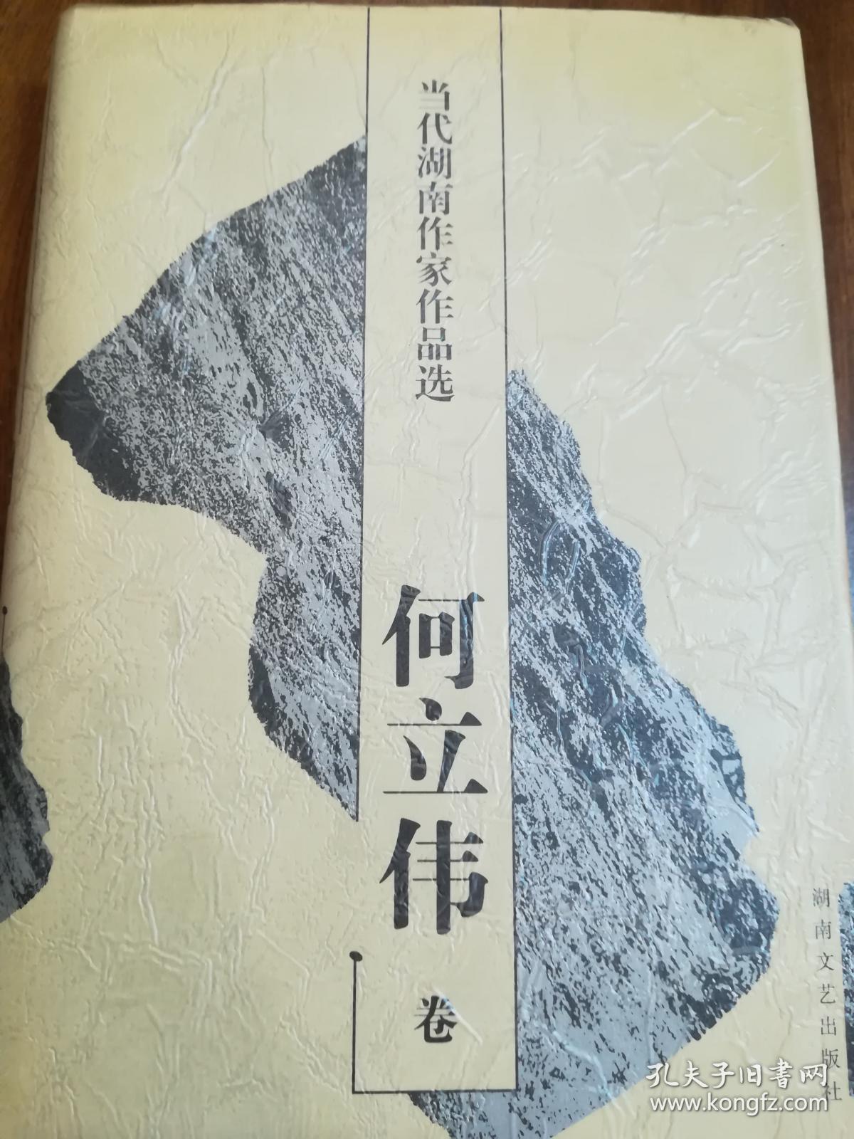 当代湖南作家作品选全19册