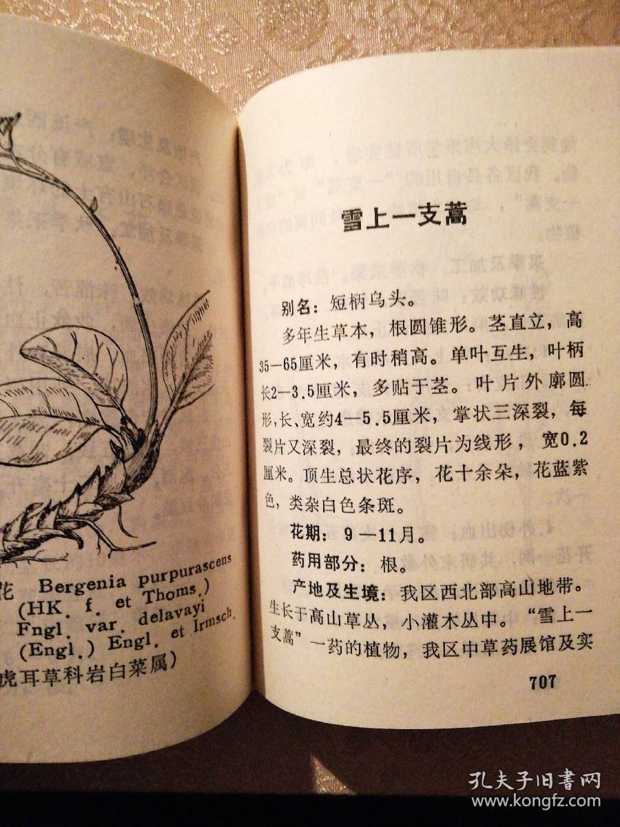 曲靖专区中草药手册_云南省曲靖专区革命委员会生产指挥组卫生组_孔