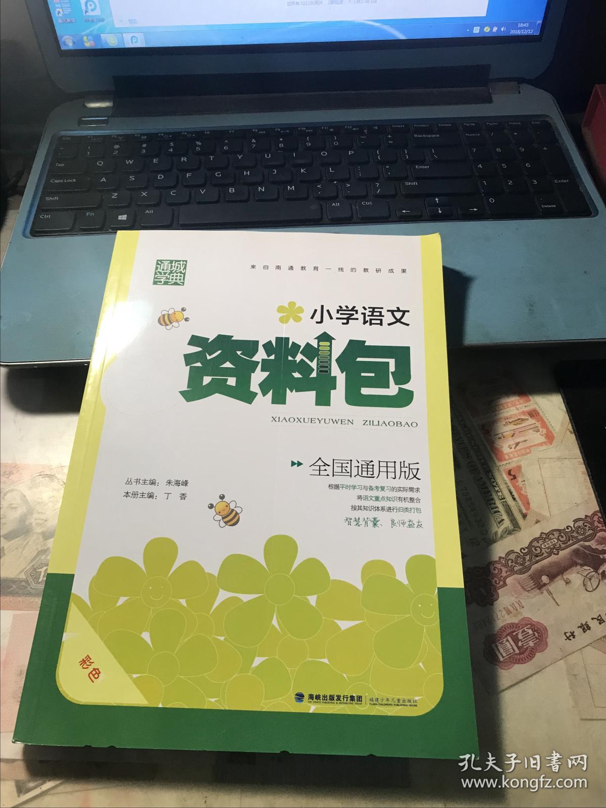 最新小学语文资料包全国通用版