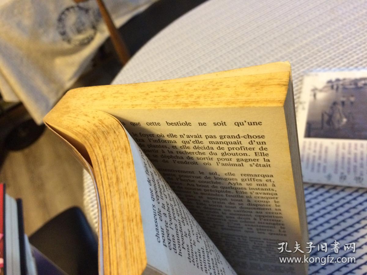 法文原版 les enfants dela terre 1 地球的孩子1