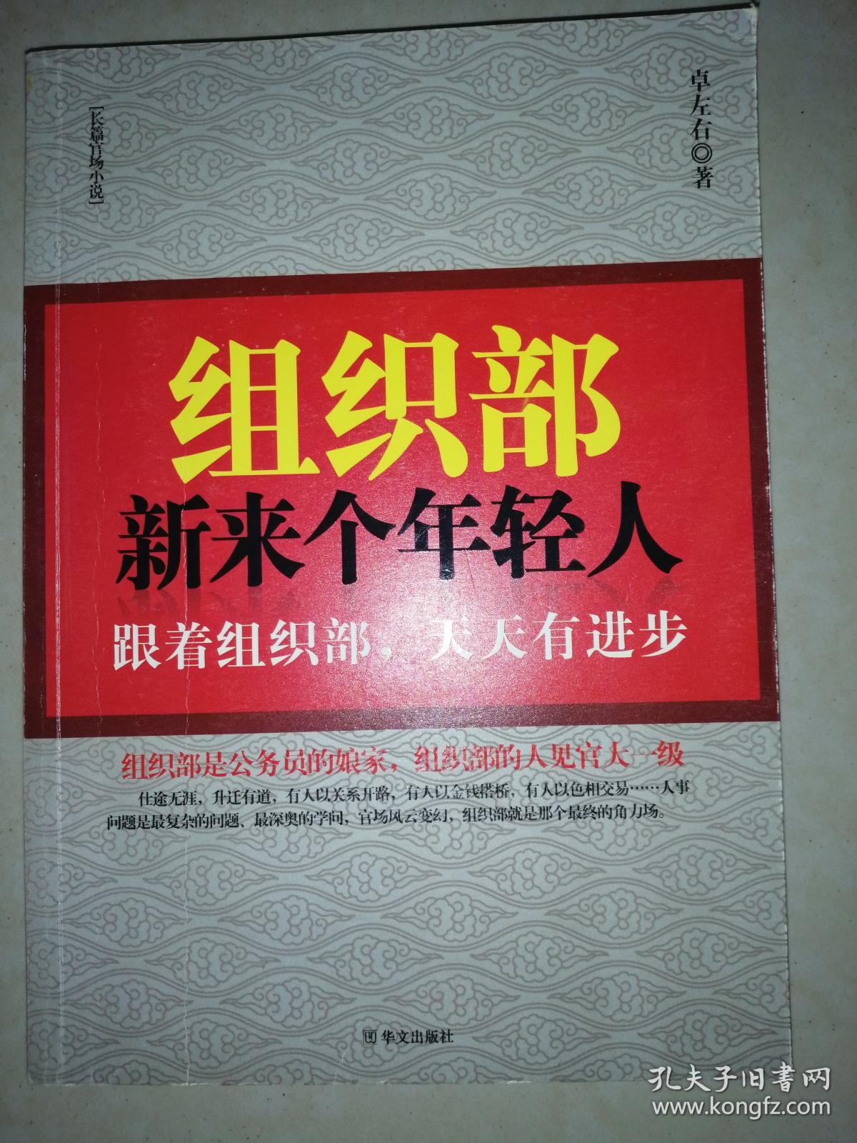 组织部新来个年轻人