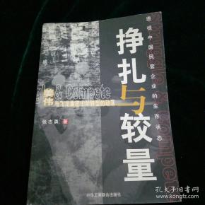 挣扎与较量:姜伟和飞龙集团十年转型的动荡