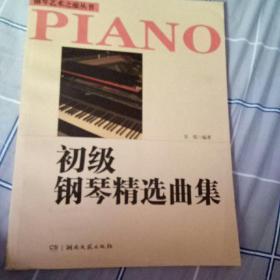 钢琴艺术之旅丛书：初级钢琴精选曲集
