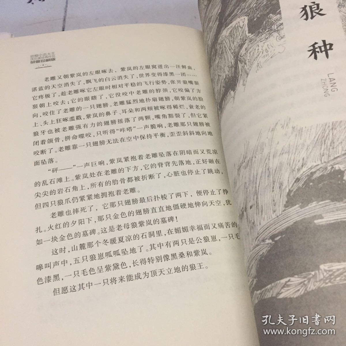 动物小说大王沈石溪经典作品·荣誉珍藏版:狼王梦