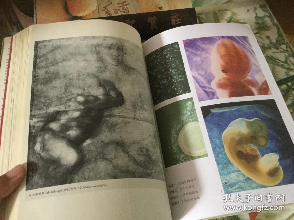 性学观止(插图第6版 上册)