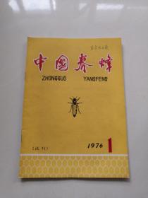 中国养蜂1976年 1【试刊】