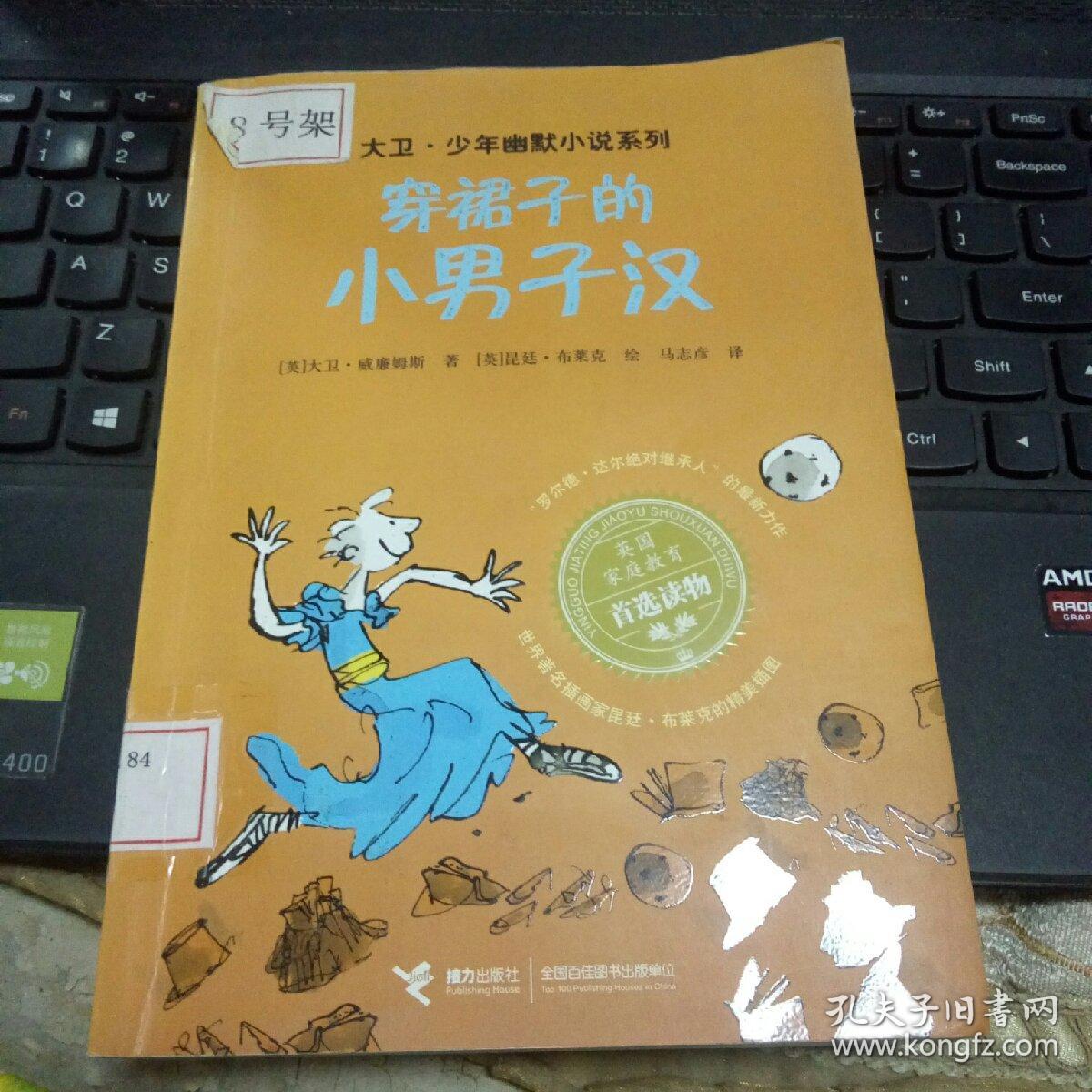 穿裙子的小男子汉:大卫·少年幽默小说系列