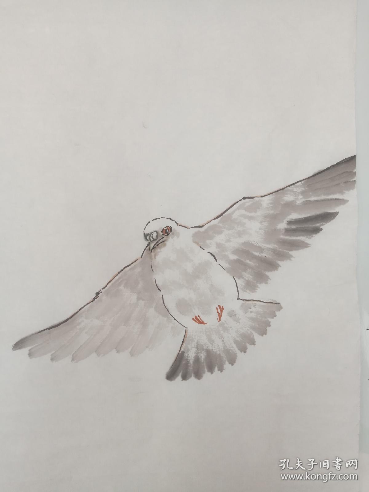 国画写意花鸟鸽子葫芦美术家协会理事手绘