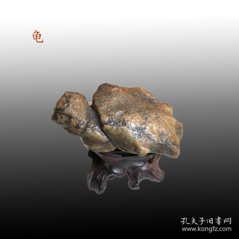 奇石龟老皮戈壁石观赏石造型石重130克