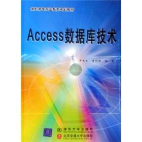 Access数据库技术