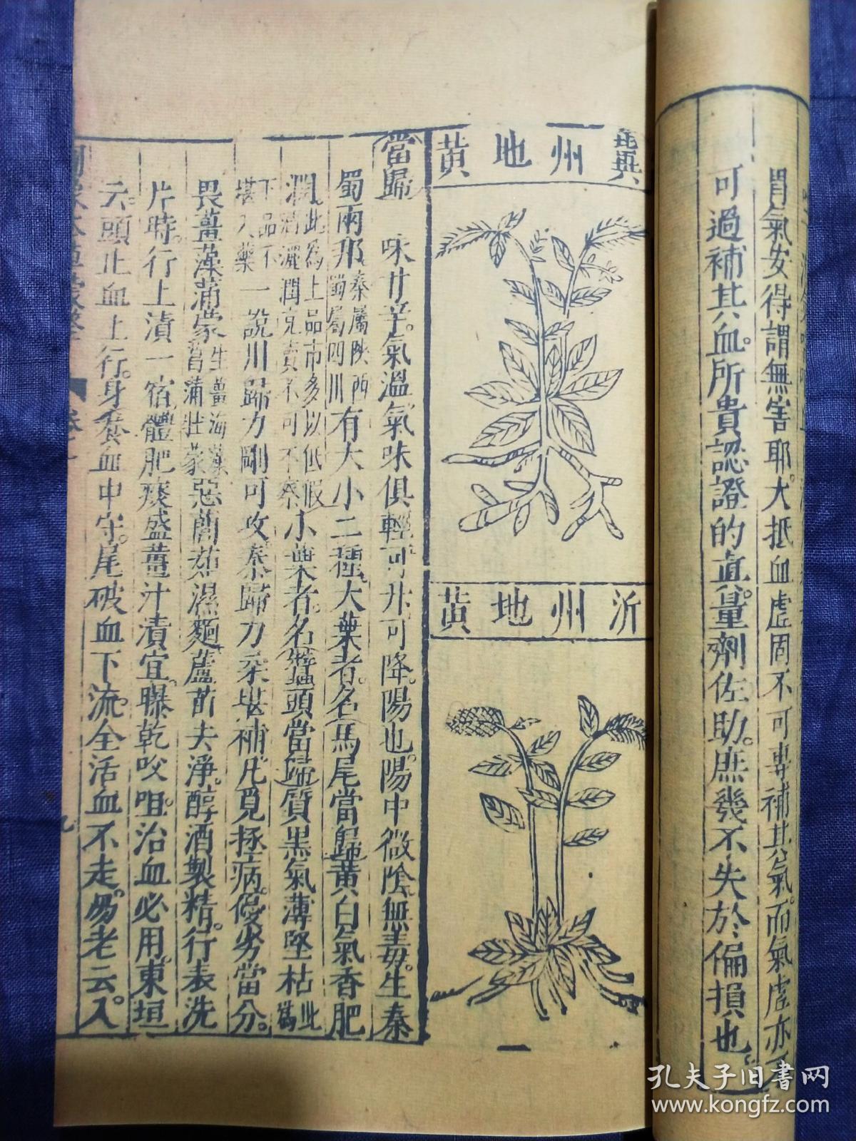 在《本草蒙荃》神农本草经山药的记载图片《本草蒙筌》山药崇祯元年