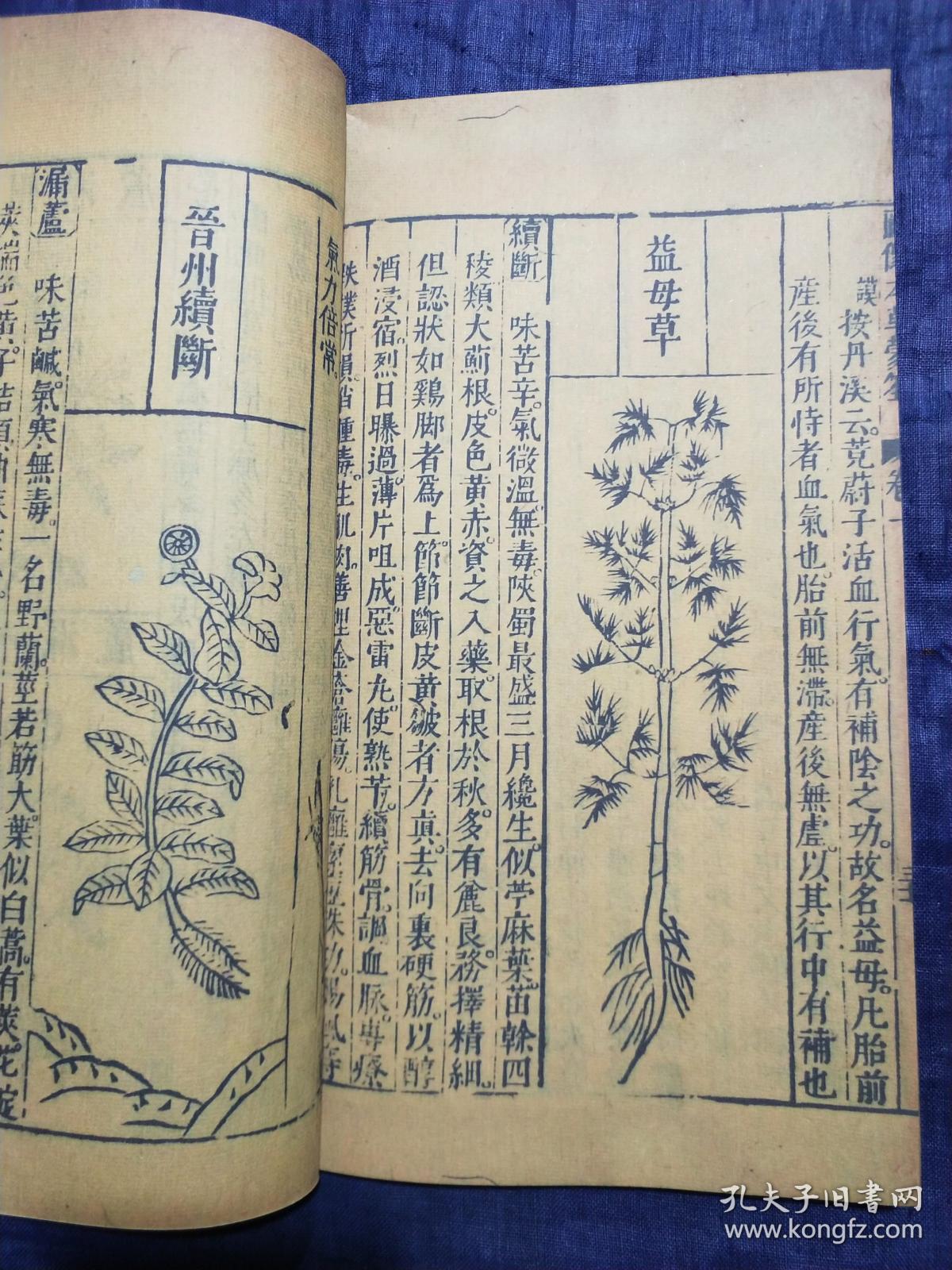 许国刘孔敦序各一全书分12卷封面署重刻增补图像本草蒙本草蒙荃藏本草