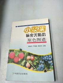 小浆果病虫害防治原色图谱