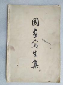 国画写生集   潘天寿 谢稚柳等