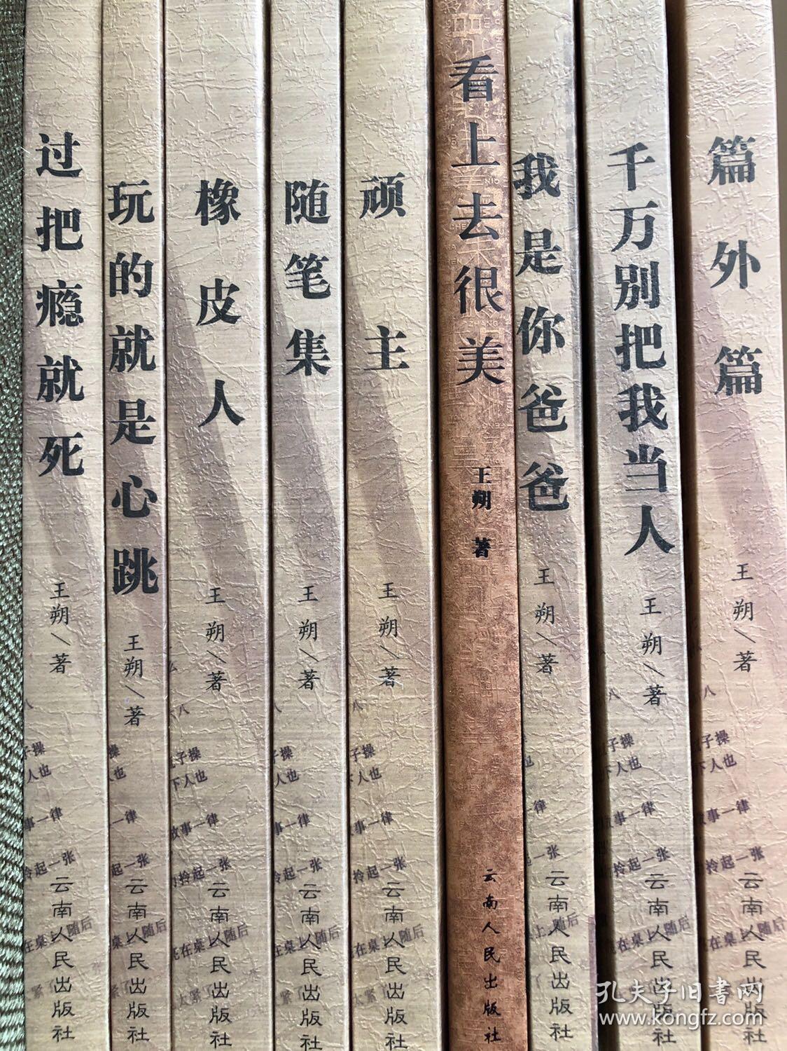 王朔文集【9册全】云南人民出版社