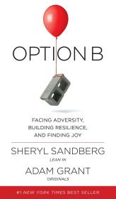 Option B: Facing Adversity, Building Resilience, and Finding Joy 精装