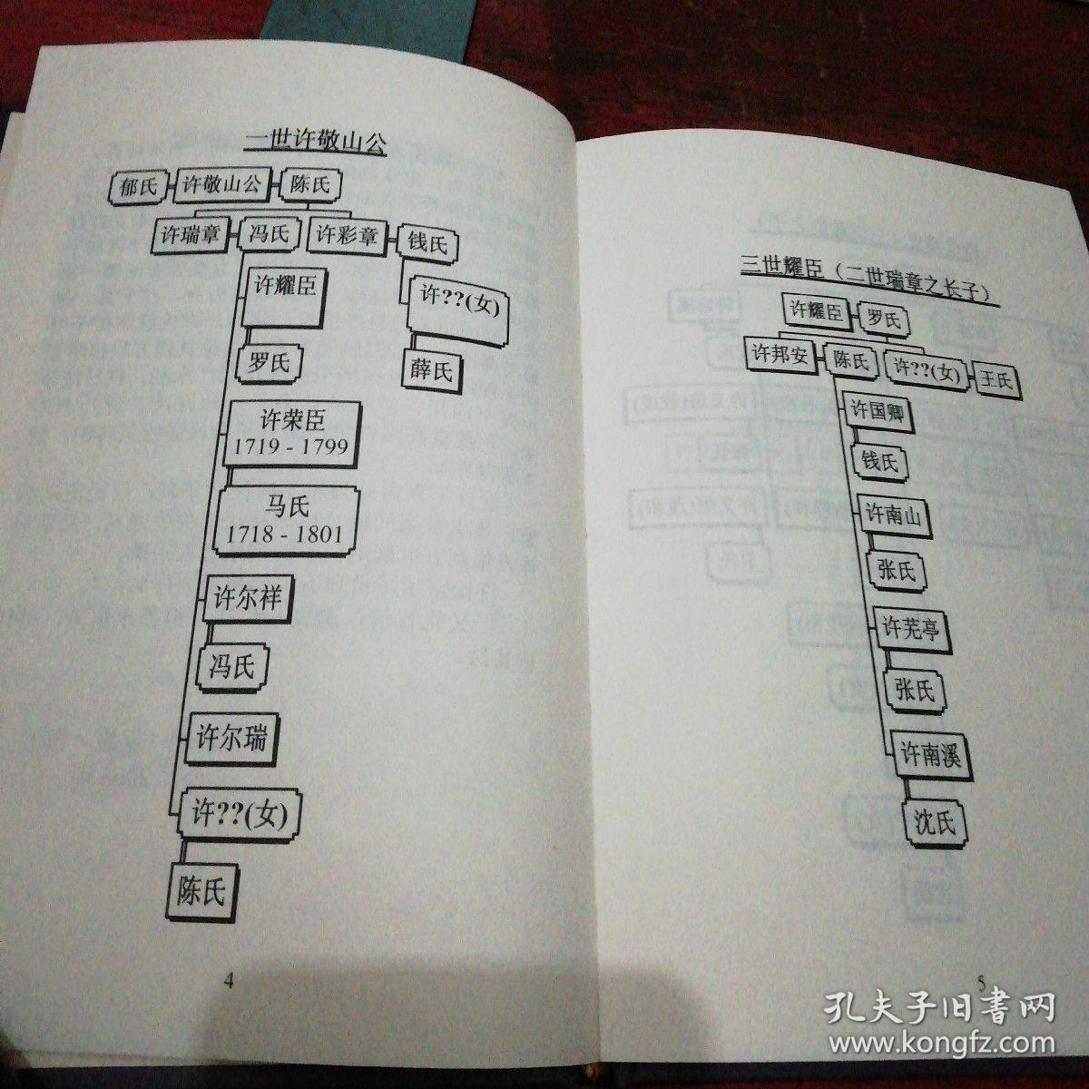 高阳许氏宗谱(精装)