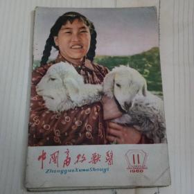 中国畜牧兽医，