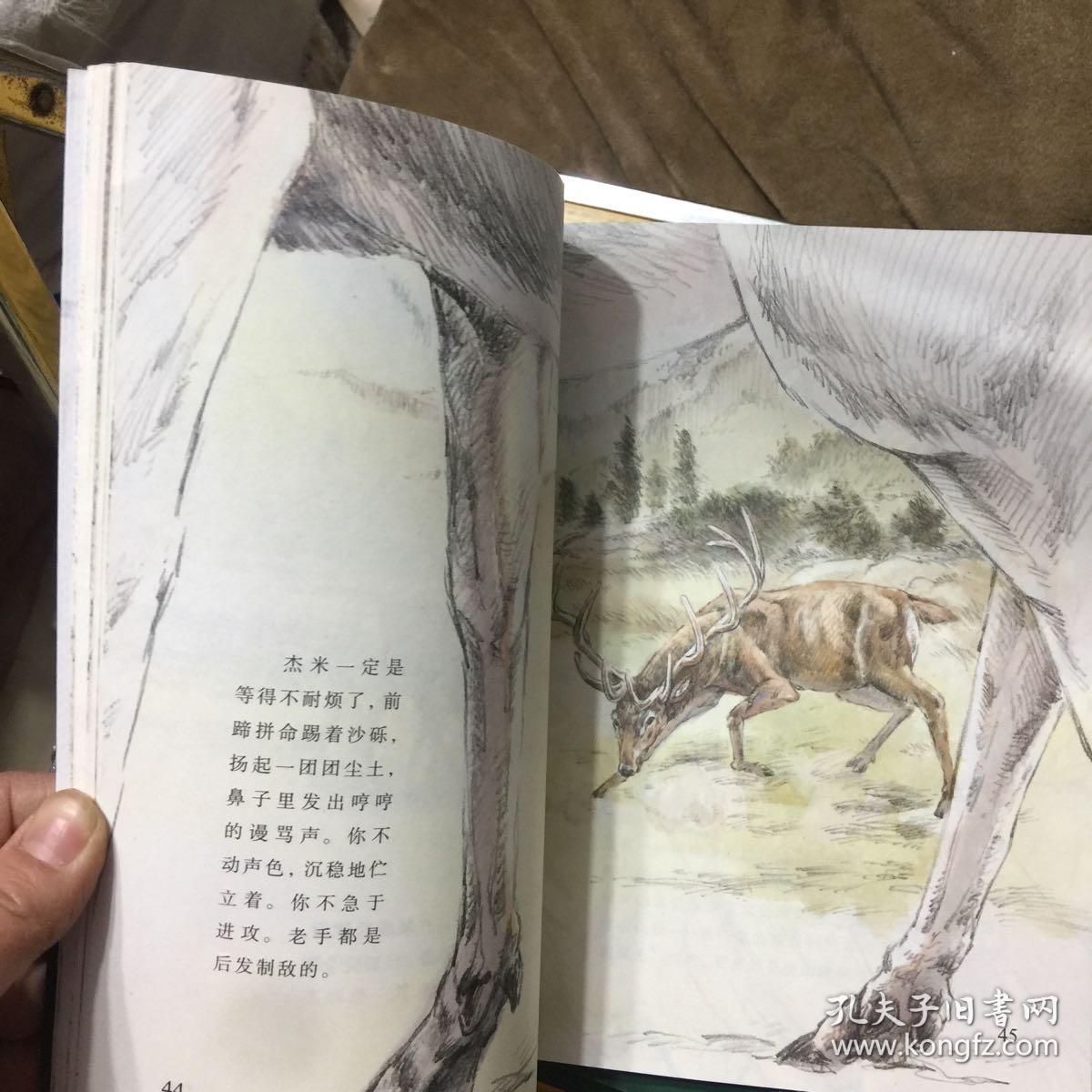沈石溪画本(全十册)